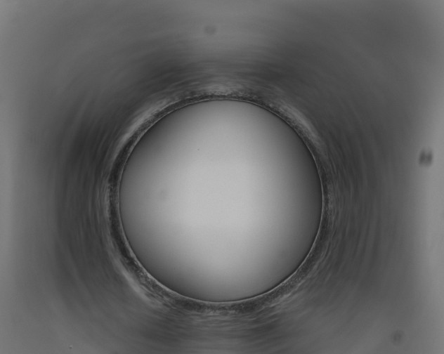 X0000093510626200710121103