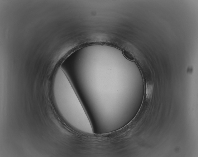 X0000093510627200710121103