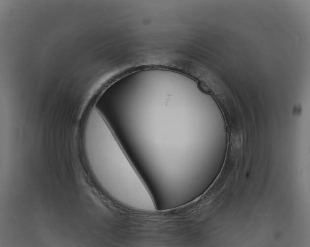 X0000093510628200710121103