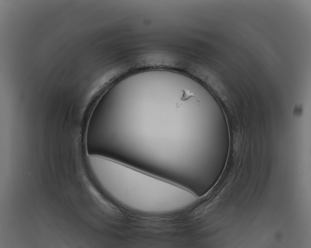 X0000093510629200710121103