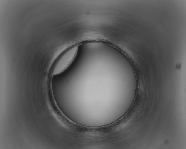 X0000093510630200710121103