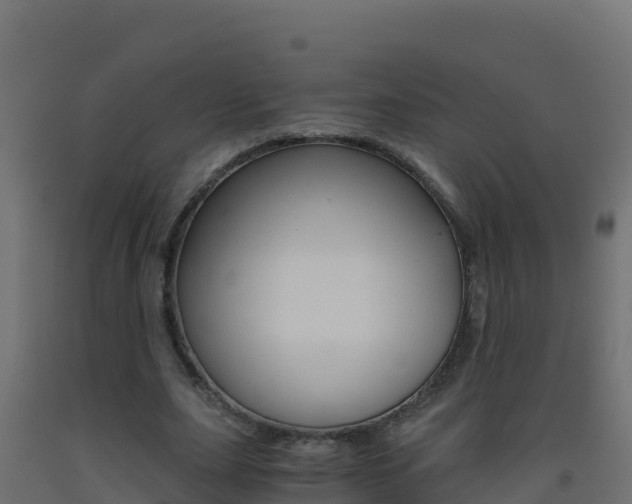 X0000093510631200710121103
