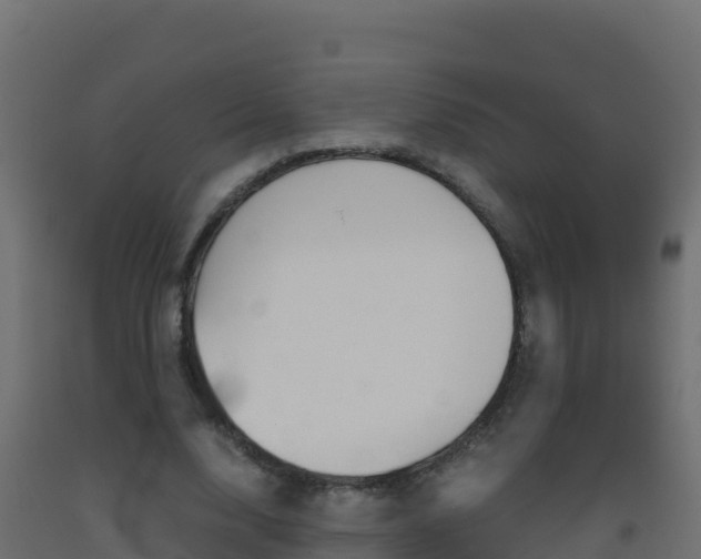 X0000093510632200710121103