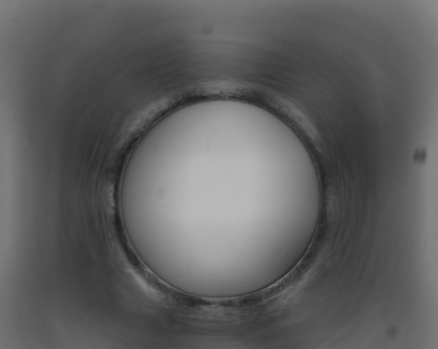 X0000093510633200710121103
