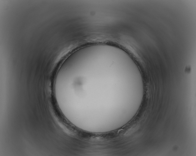 X0000093510634200710121103