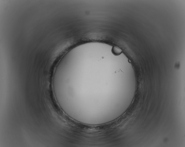 X0000093510635200710121103