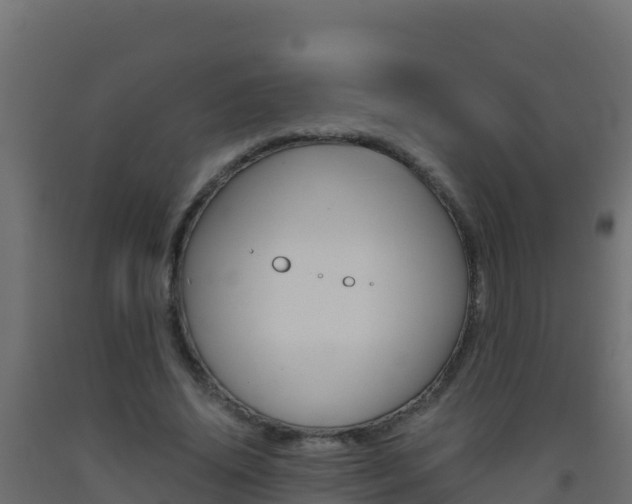 X0000093510636200710121103