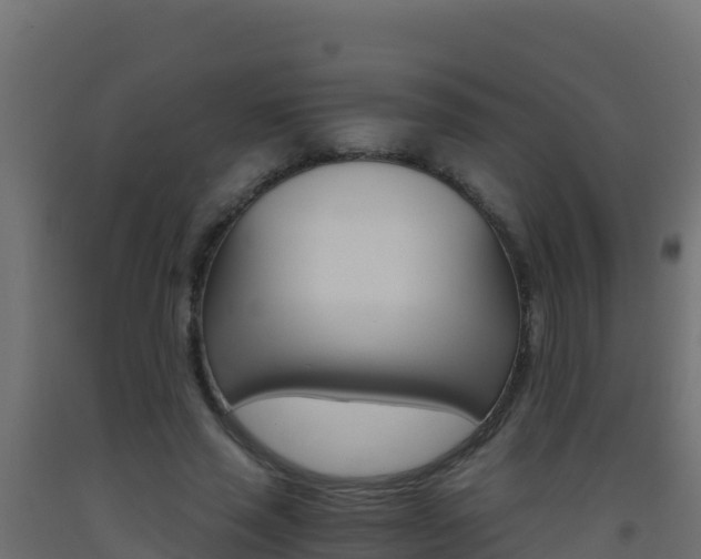 X0000093510637200710121104