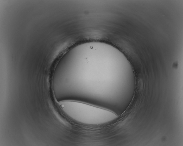 X0000093510638200710121104