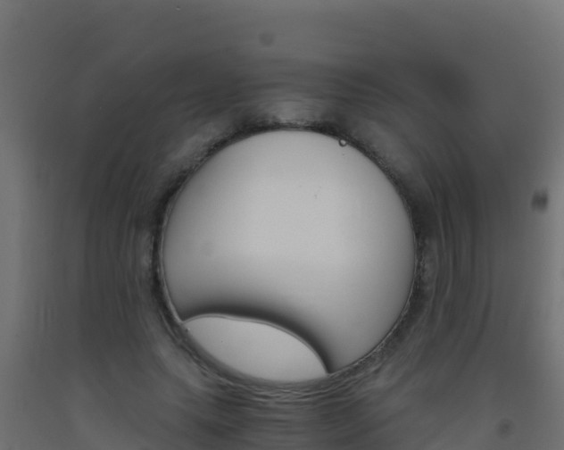 X0000093510639200710121104