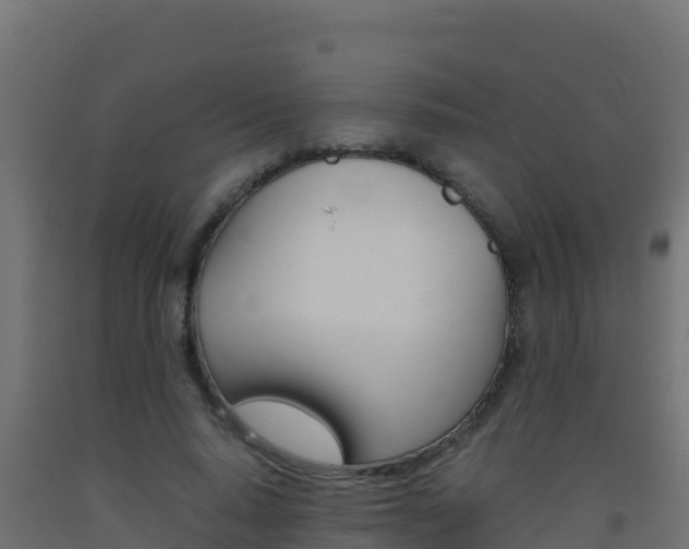 X0000093510640200710121104
