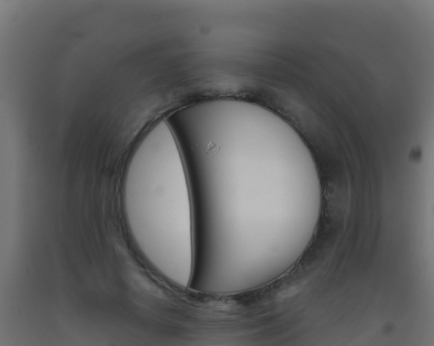 X0000093510642200710121104