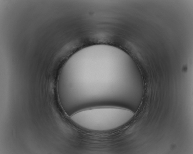 X0000093510643200710121104