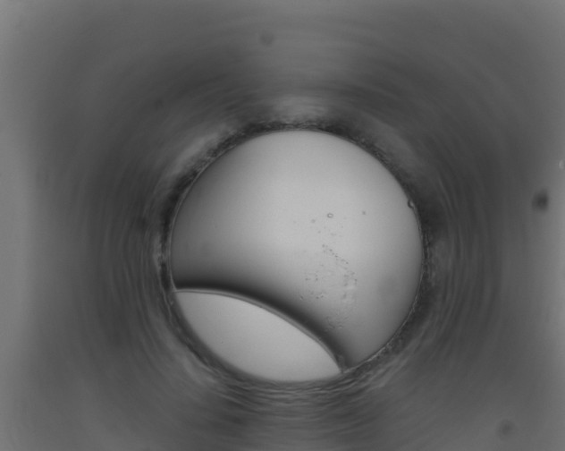 X0000093510644200710121104