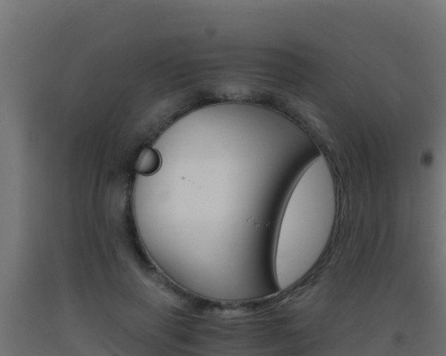 X0000093510645200710121104