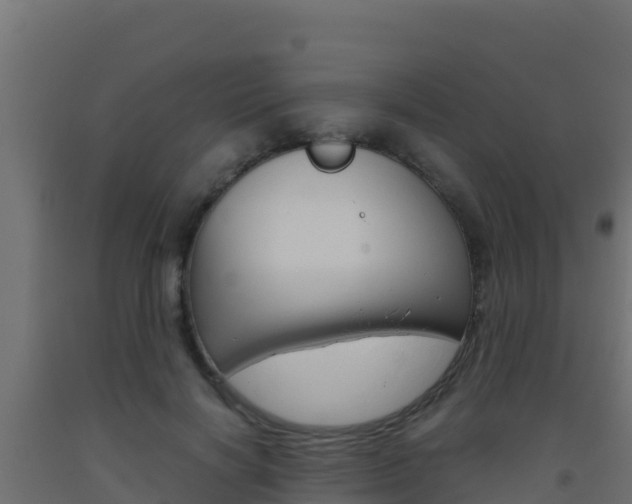 X0000093510646200710121104