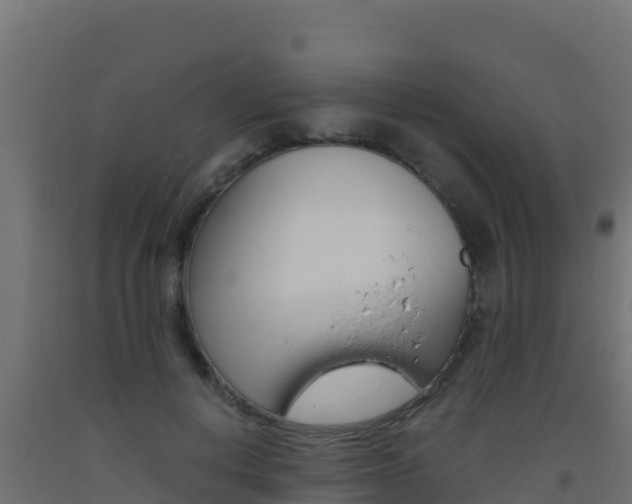 X0000093510648200710121104