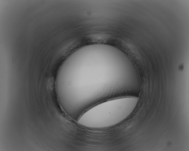 X0000093510649200710121104