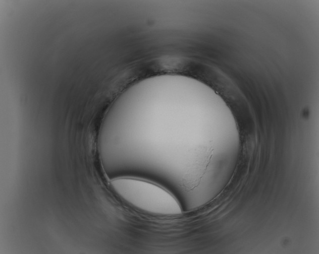 X0000093510651200710121104