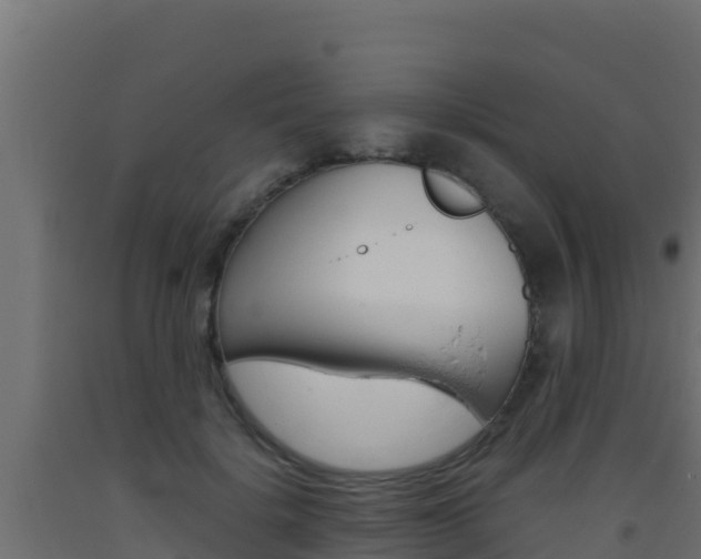 X0000093510652200710121104