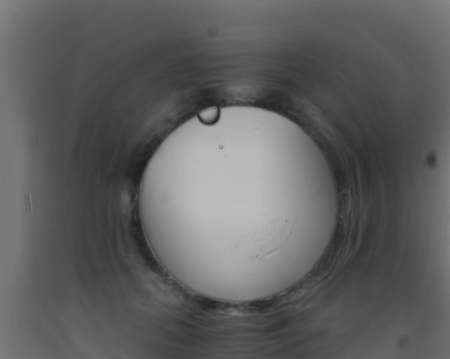 X0000093510655200710121104