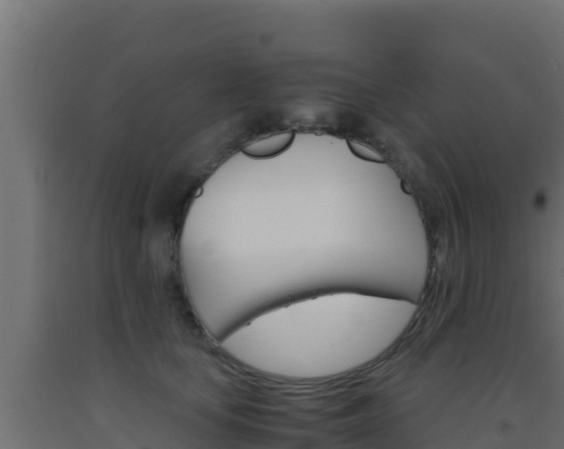 X0000093510659200710121104