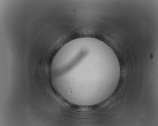 X0000093510662200710121104