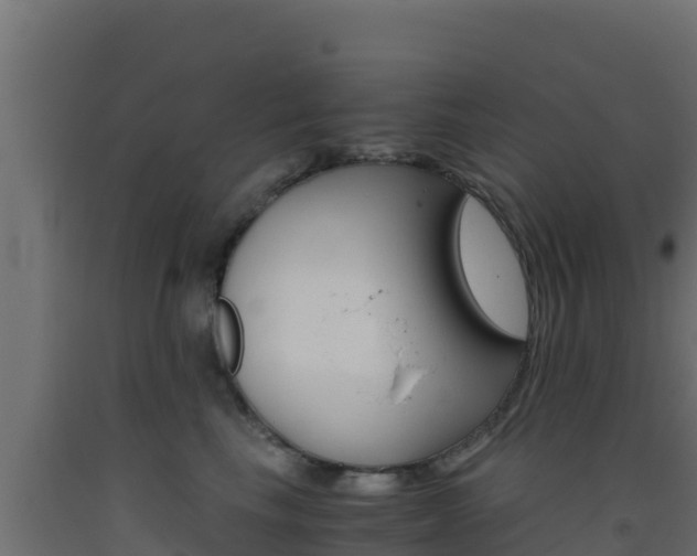 X0000093510665200710121104