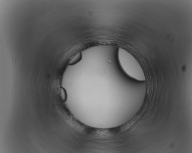 X0000093510666200710121104