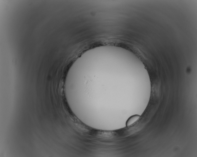 X0000093510671200710121104
