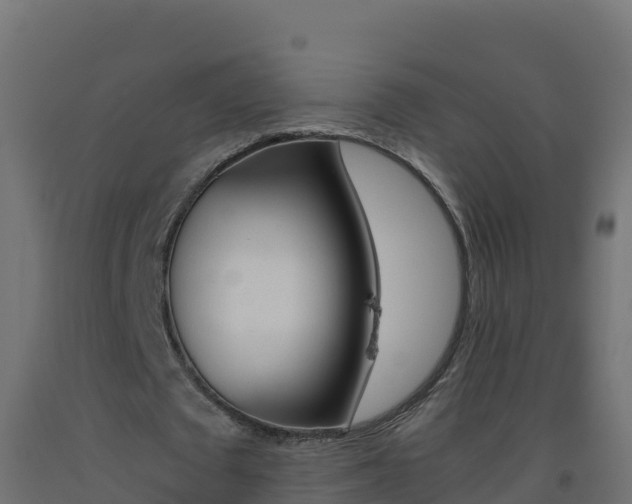 X0000093510673200710121103