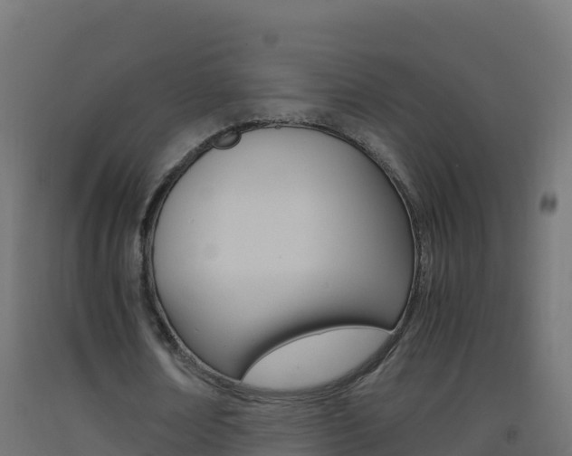 X0000093510674200710121103