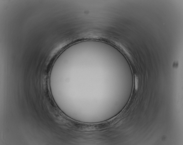 X0000093510675200710121103