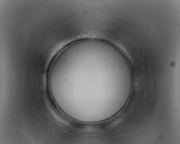 X0000093510678200710121103