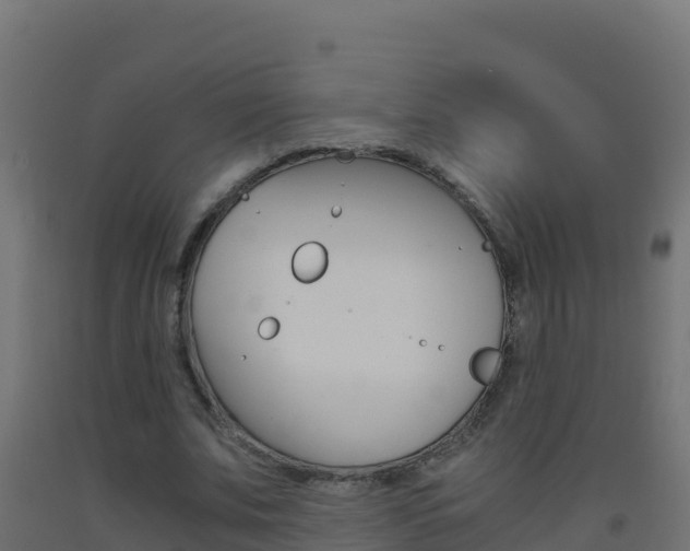 X0000093510679200710121103