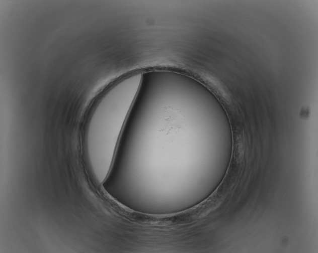 X0000093510680200710121103