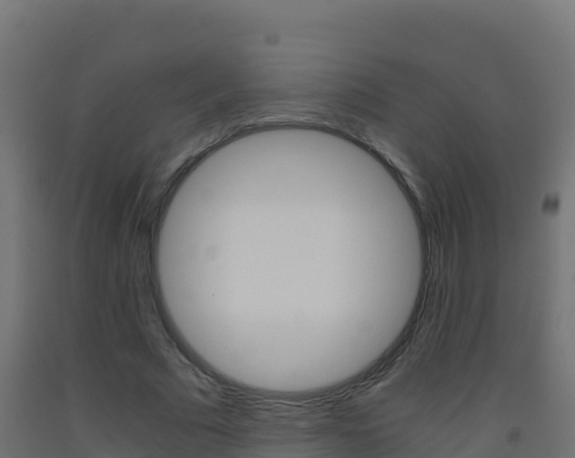 X0000093510681200710121103
