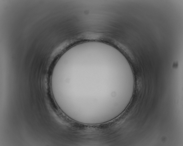 X0000093510682200710121103