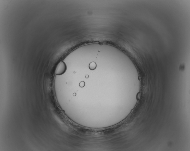 X0000093510683200710121103