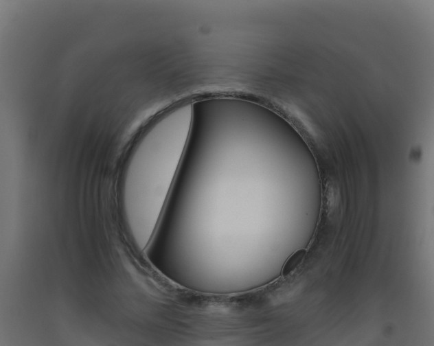 X0000093510684200710121103