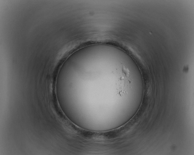X0000093510685200710121103