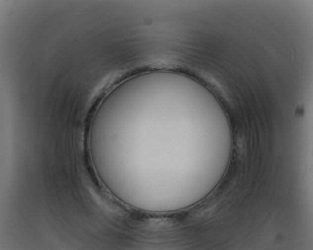X0000093510686200710121103