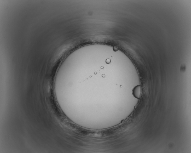 X0000093510687200710121103