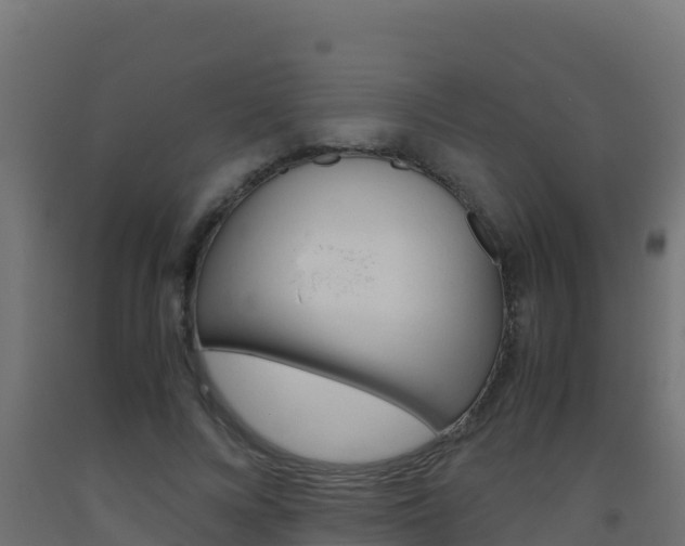 X0000093510688200710121103