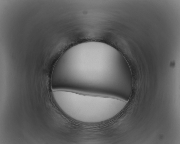 X0000093510689200710121103