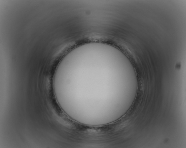 X0000093510690200710121103