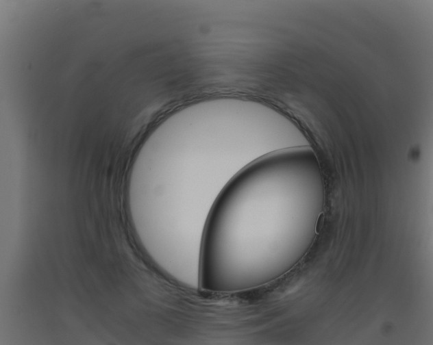 X0000093510693200710121103