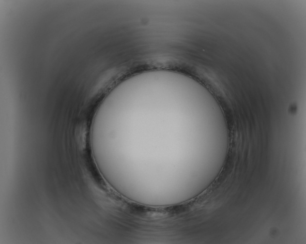X0000093510694200710121103