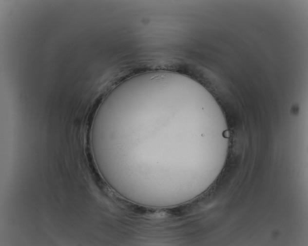 X0000093510695200710121103