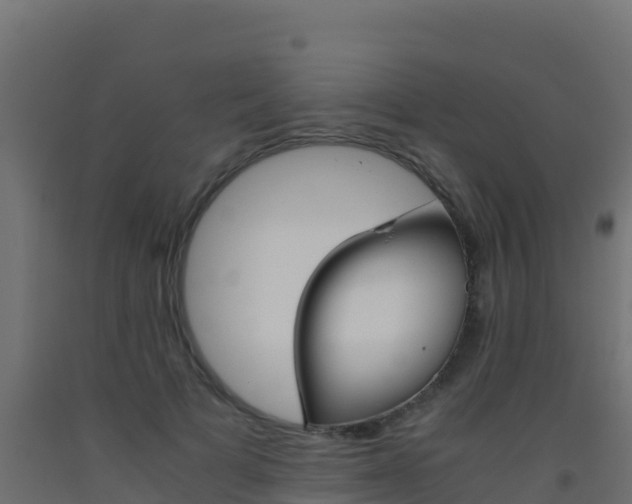 X0000093510697200710121103